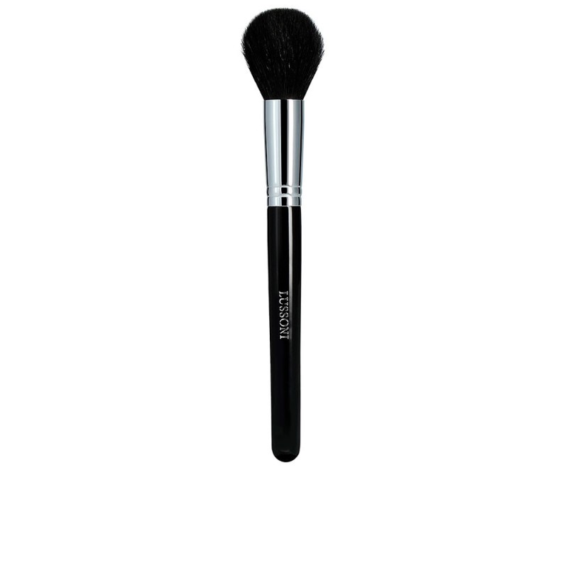 LUSSONI PRO petit pinceau 318 1 u