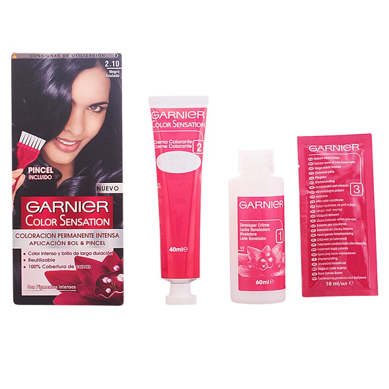 COLOR SENSATION 2 10 noir bleuté 110 gr