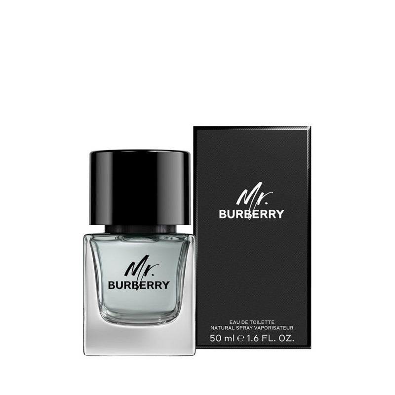 MR BURBERRY edt vapeur 50 ml