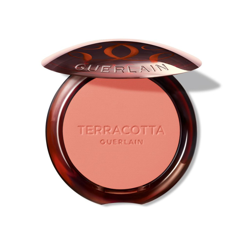 TERRACOTTA BLUSH blush effet bon visage 02 1 u