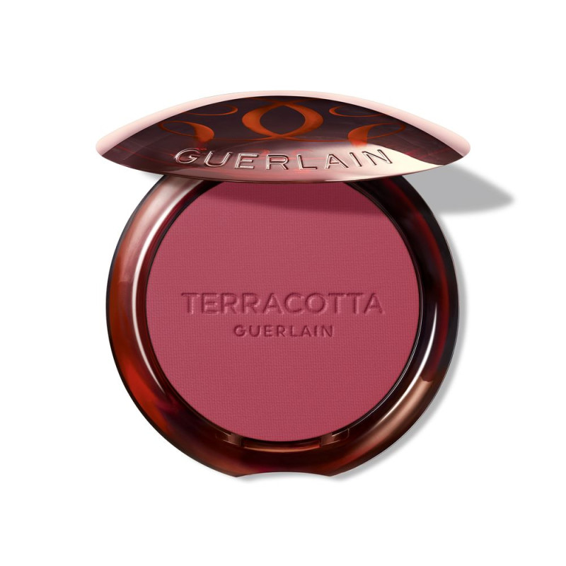 TERRACOTTA BLUSH blush effet bon visage 04 1 u